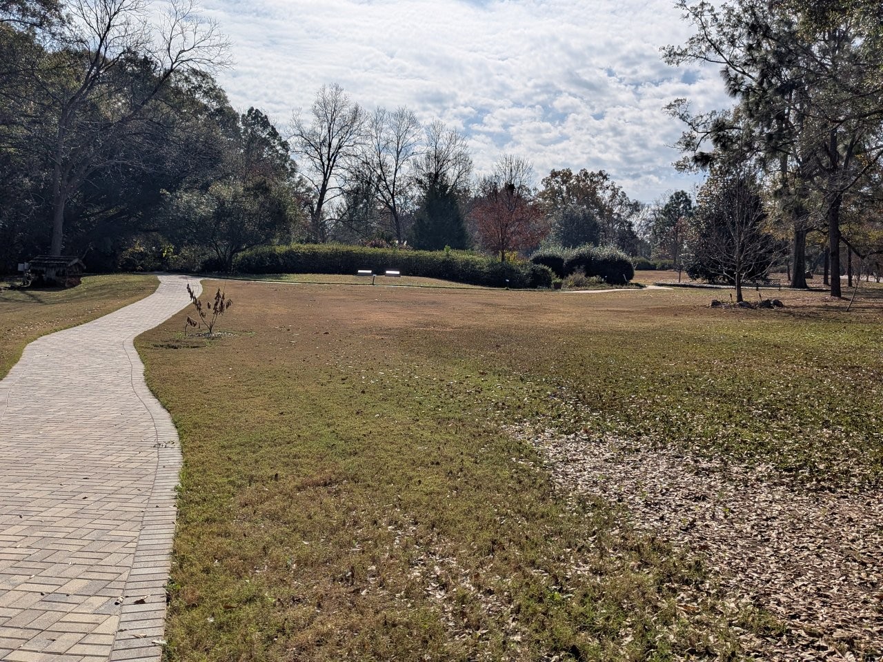 Jimmy Carter gravesite