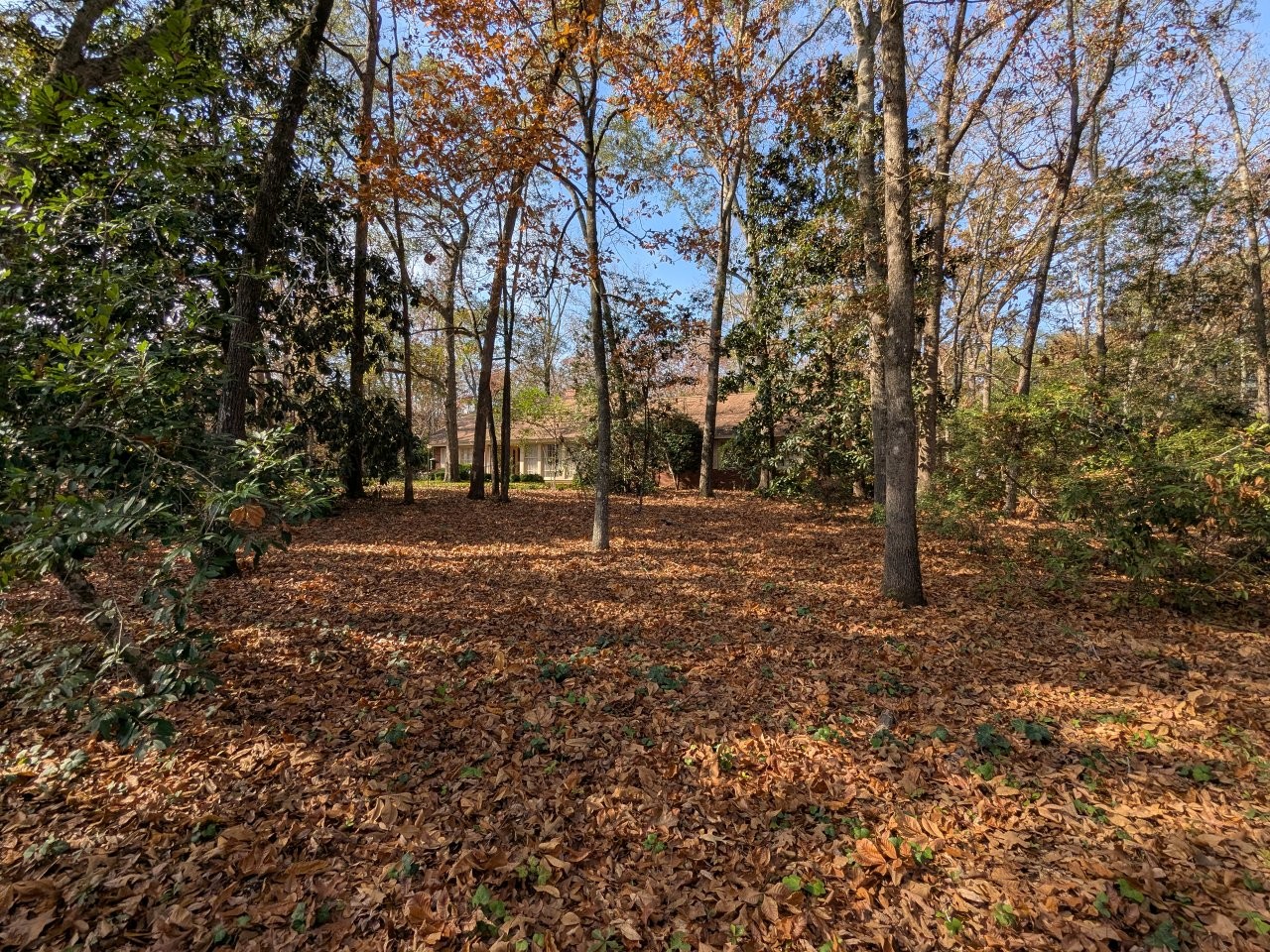 Jimmy Carter house in Plains, Georgia