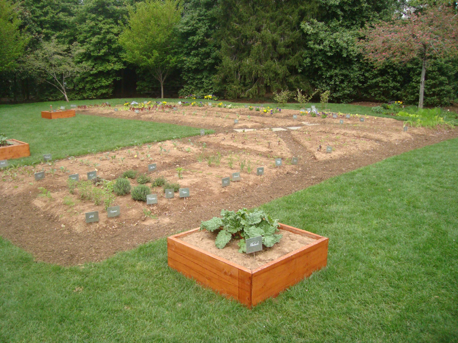 Michelle Obama S White House Kitchen Garden