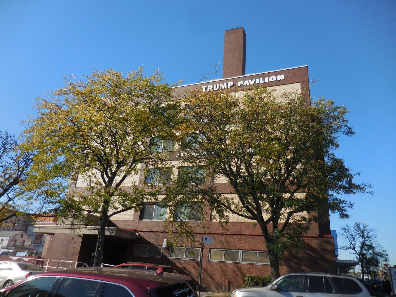 Donald Trump birthplace