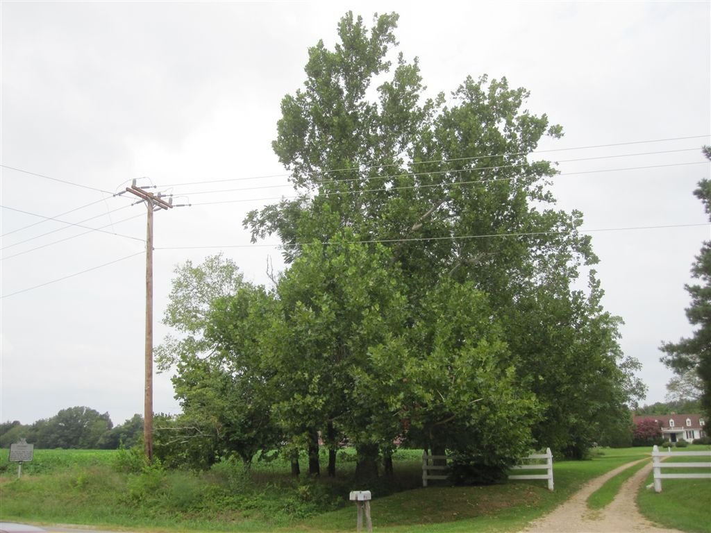 photo of John Tyler's birthplace